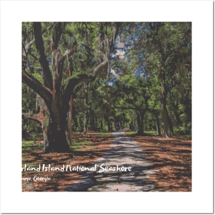 Cumberland Island National Seashore, Georgia Posters and Art